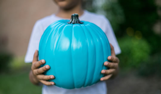 teal-pumpkin-project